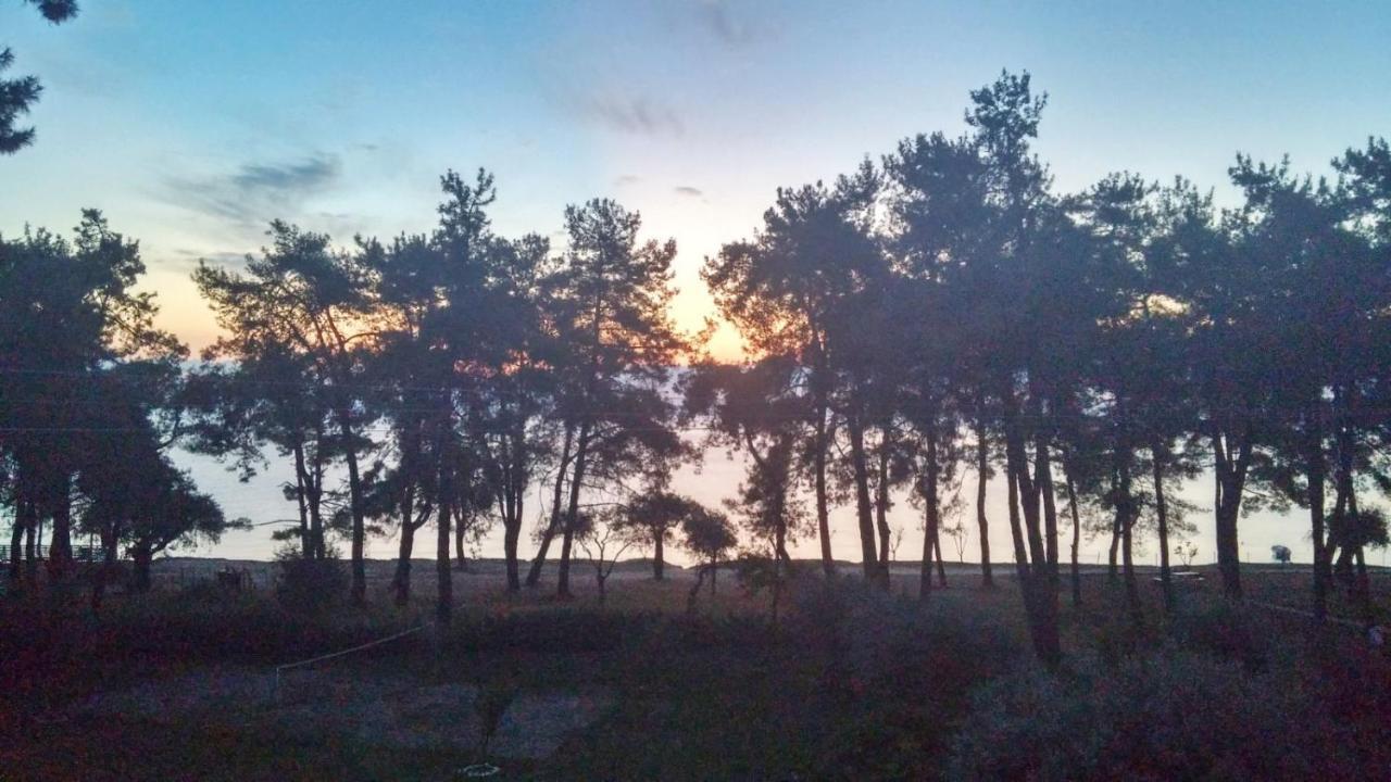 Nisteri Seaside Lejlighed Limenas  Eksteriør billede